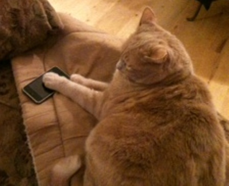 jack and iphone.jpg